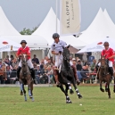 2010_polo_14