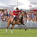 2010_polo_22