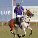 2010_polo_23