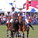 2010_polo_24