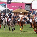 2011_POLO_51