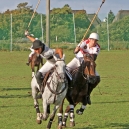 2011_POLO_56
