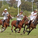 2011_POLO_61