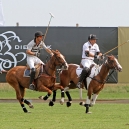 2011_POLO_65