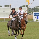 2011_POLO_78