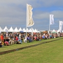 2011_POLO_87