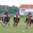 2012_POLO_001