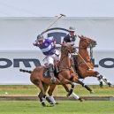 2012_POLO_003