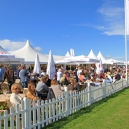 2012_POLO_840