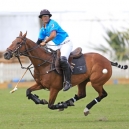 Polo_2013_182