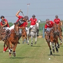 Polo_214_10