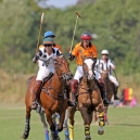 Polo_214_18