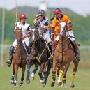 Polo_214_19