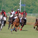 Polo_214_33