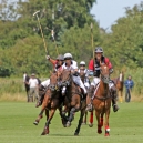 Polo_215_05