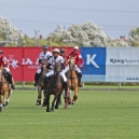 Polo_216_10