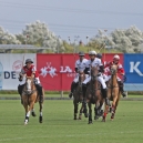 Polo_216_12