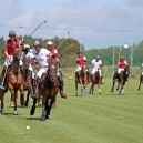 Polo_216_14