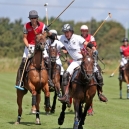 Polo_216_15