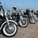 2006_harley11