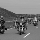 2011_harley_01