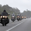 27. Harley-Davidson_19