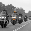 27. Harley-Davidson_49_01