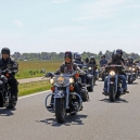 HARLEY_217_13