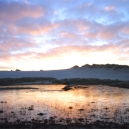 Landschaft_44
