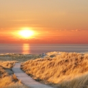 Landschaft_46