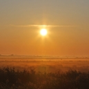 Landschaft_76