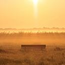 Landschaft_78