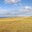 Landschaft_94