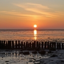 Landschaft_98