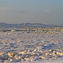 Landschaft_103