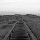 Landschaft_121