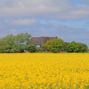 Landschaft_122