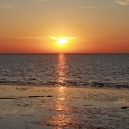 Landschaft_124