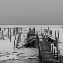 Landschaft_155