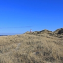 Landschaft_136