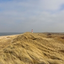 Landschaft_173