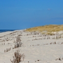 Landschaft_24