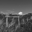 Landschaft_12