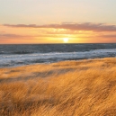 Landschaft_04
