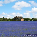 Landschaft_33