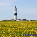 Landschaft_28