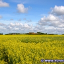 Landschaft_32
