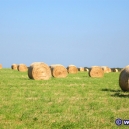 Landschaft_36
