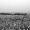 Landschaft_39