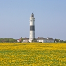 Leuchturm_18
